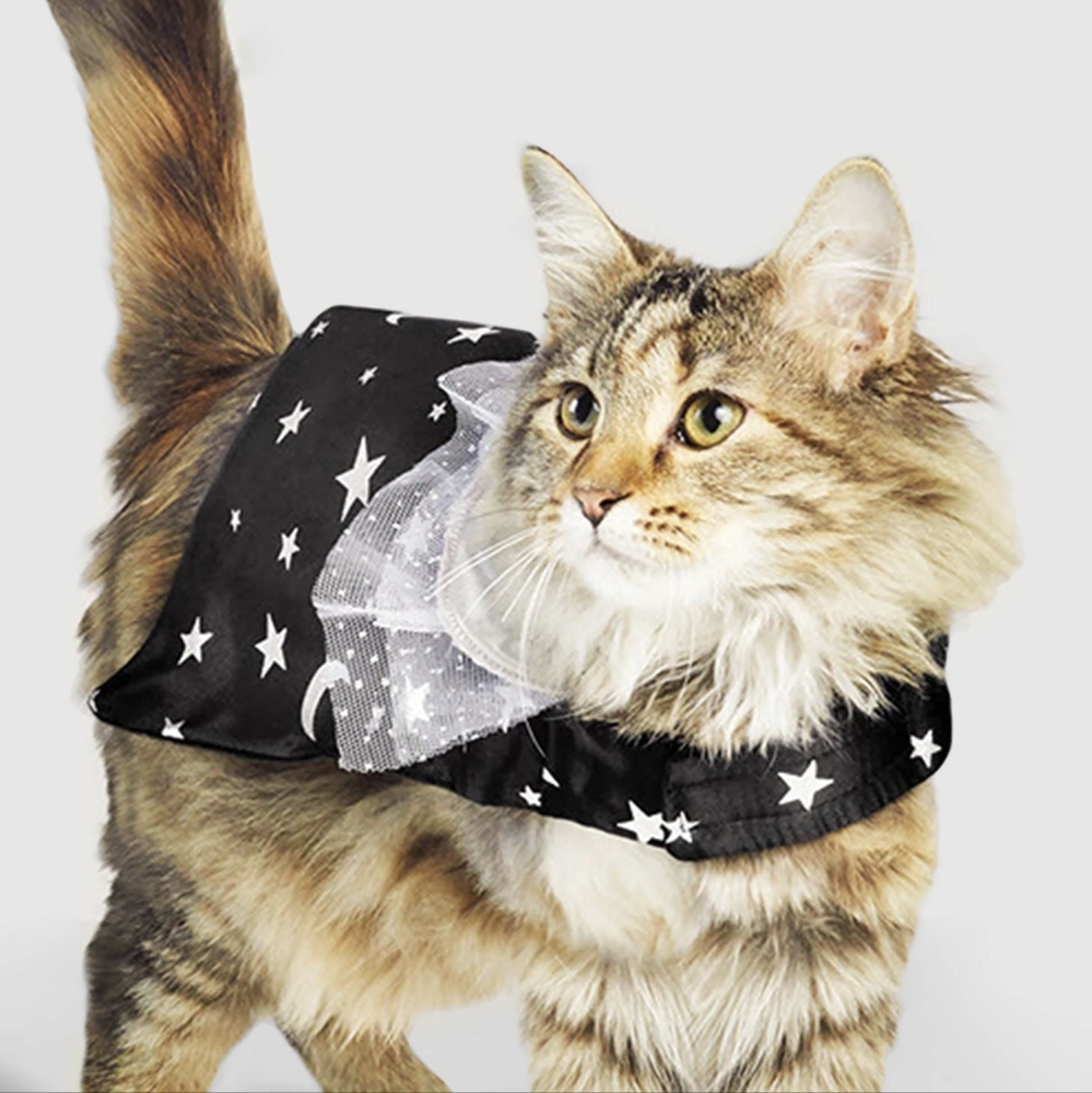 *NWT* Moon & Star Cape Pet Costume